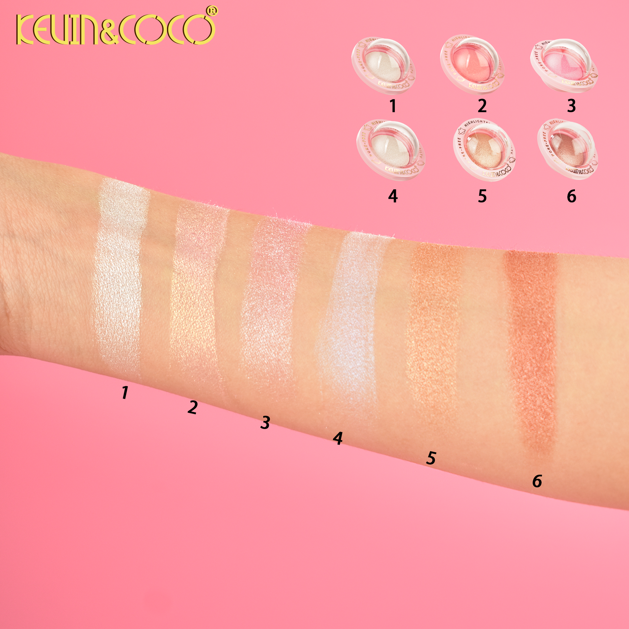 Pet Planet Highlighter Powder-12 PCS(KC1047)